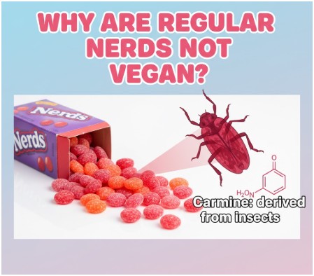 Are Nerds Vegan, or Do They Sneak In Animal Ingredients?