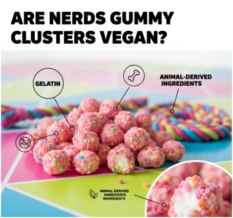 Why Do Standard Nerds Include Animal Ingredients?
