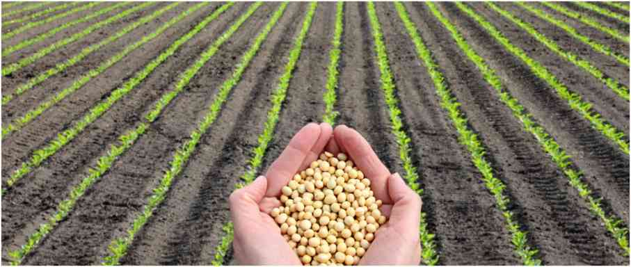 Essentials of Farm Succession Planning