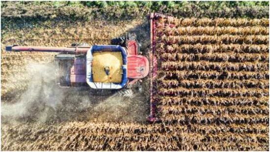 Key Components of a Successful Plan