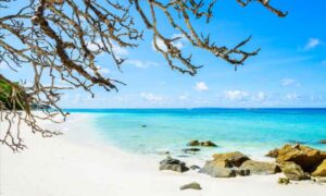 Unlocking the Best Views with Thoughtful Reservation Choices