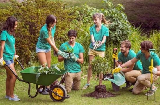 Community-Garden-Projects