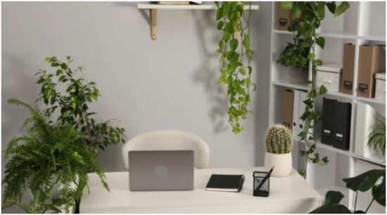 Biophilic Design Elements