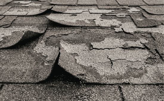 Visible Shingle Damage and Surface Wear