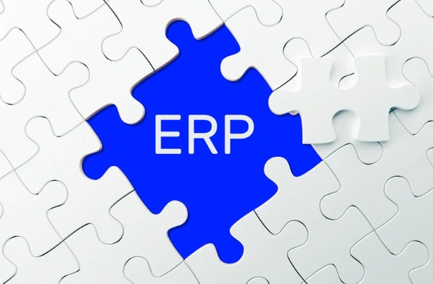 How Does Acumatica Cloud ERP Support Growing Companies with Flexible Management Solutions