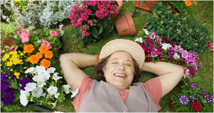 Backyard Bliss: Creative DIY Gardening Ideas for Small Spaces