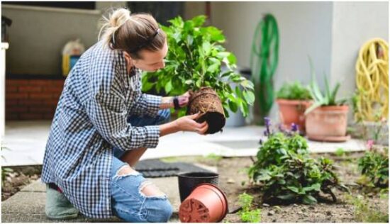 Repurpose Everyday Items