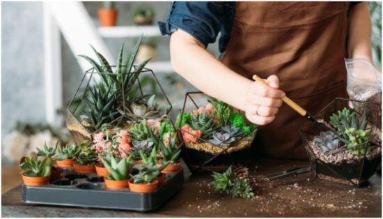 Use Containers Creatively